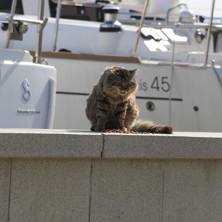 Luxurious yacht experience